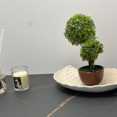 Alojamento de Acomodação e Pequeno-almoço Mery Center